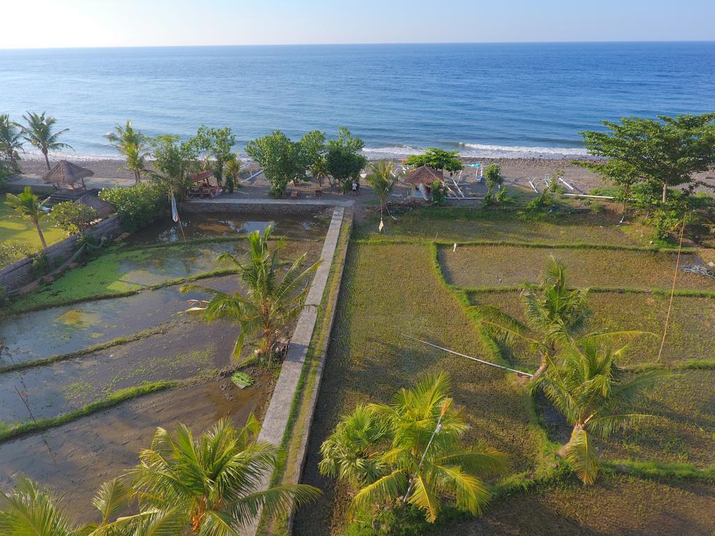 Taman Padi Villa อาเม็ด ภายนอก รูปภาพ
